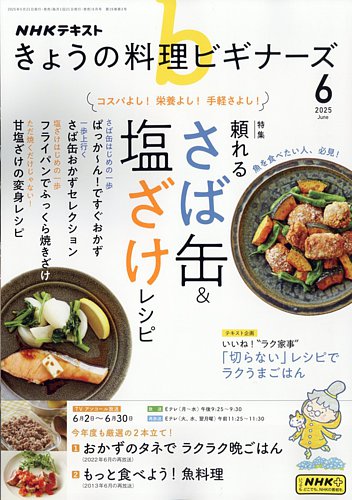 NHK 傤̗rMi[Y